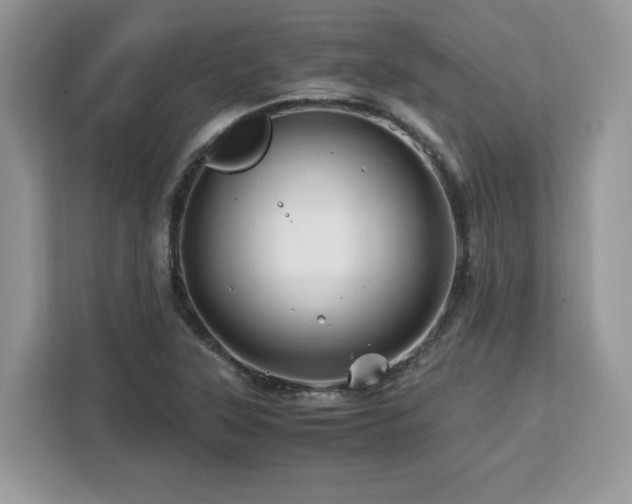 X0000113091315200908281235