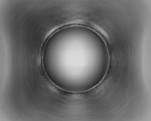 X0000113091316200908281235