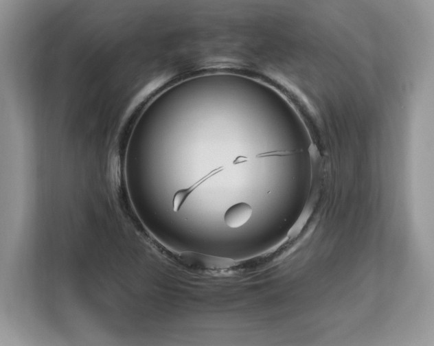 X0000113091317200908281235