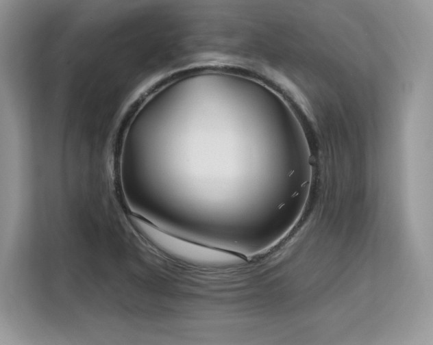 X0000113091318200908281235