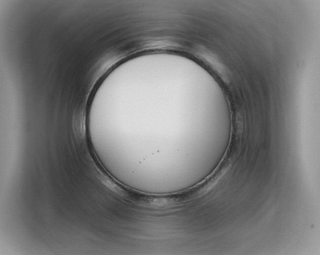 X0000113091322200908281235