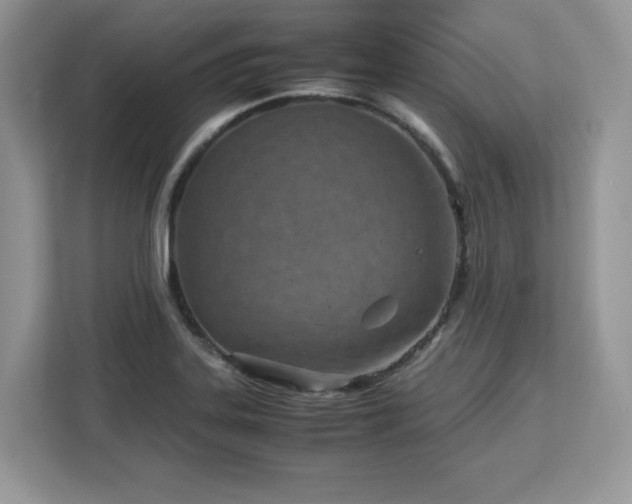 X0000113091323200908281235