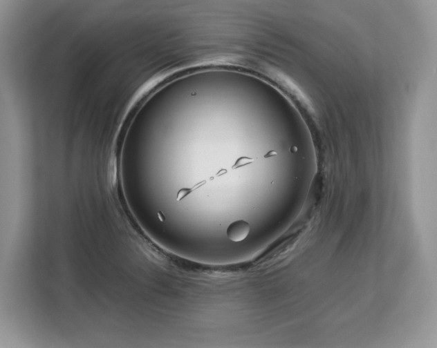 X0000113091324200908281235