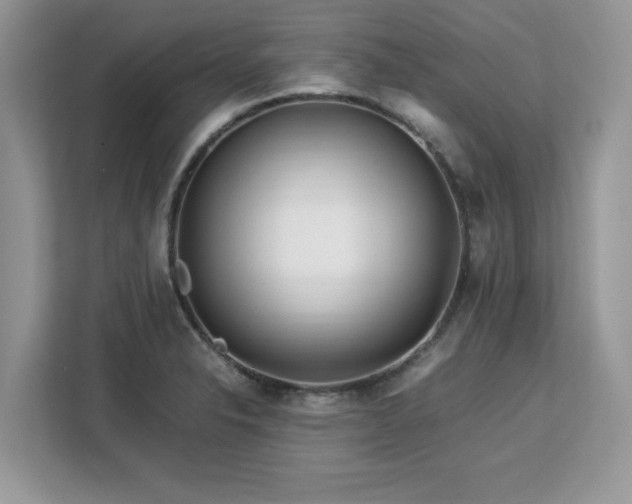 X0000113091326200908281235