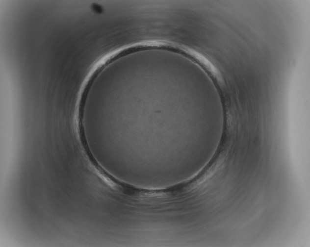 X0000113091327200908281235