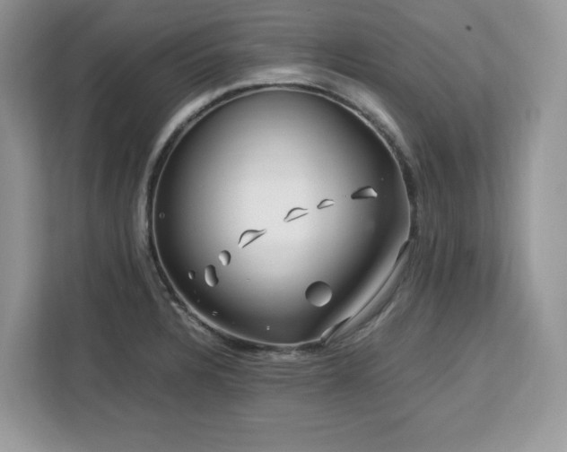 X0000113091328200908281235