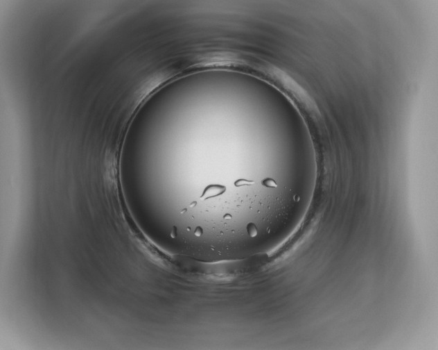 X0000113091329200908281235