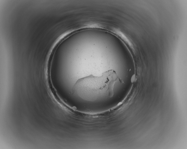 X0000113091331200908281236