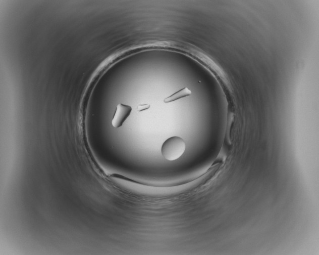 X0000113091332200908281236