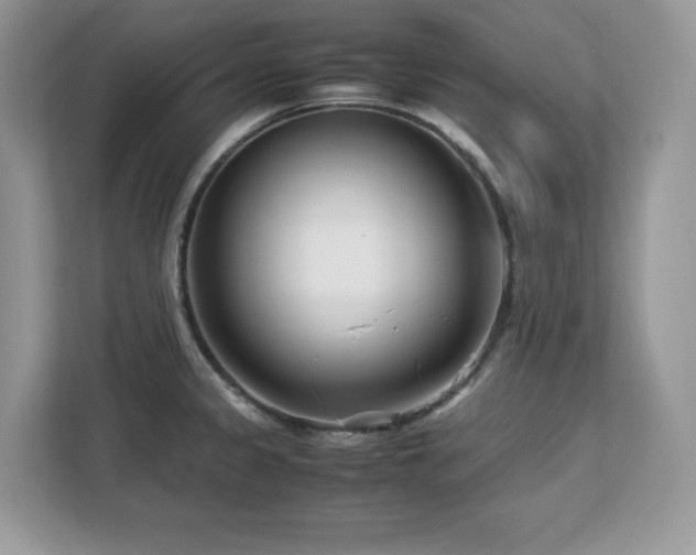X0000113091333200908281236