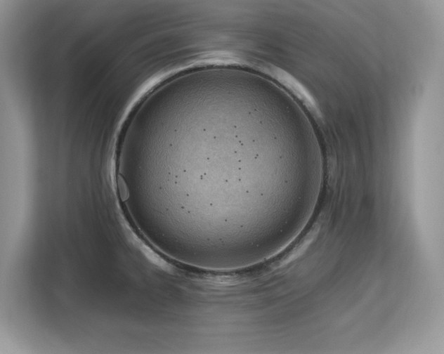 X0000113091334200908281236