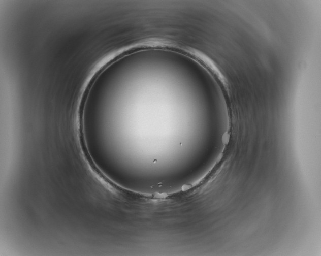 X0000113091335200908281236