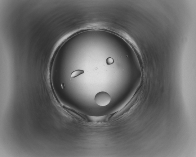 X0000113091336200908281236