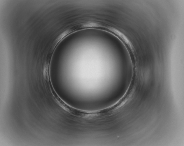 X0000113091337200908281236