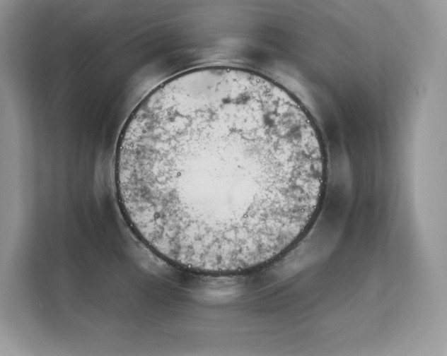 X0000113091338200908281236