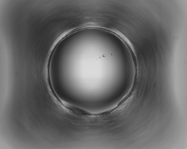 X0000113091341200908281236