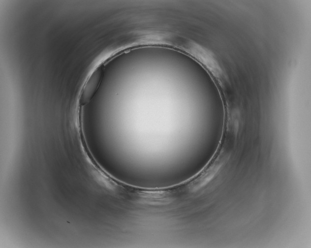 X0000113091342200908281236