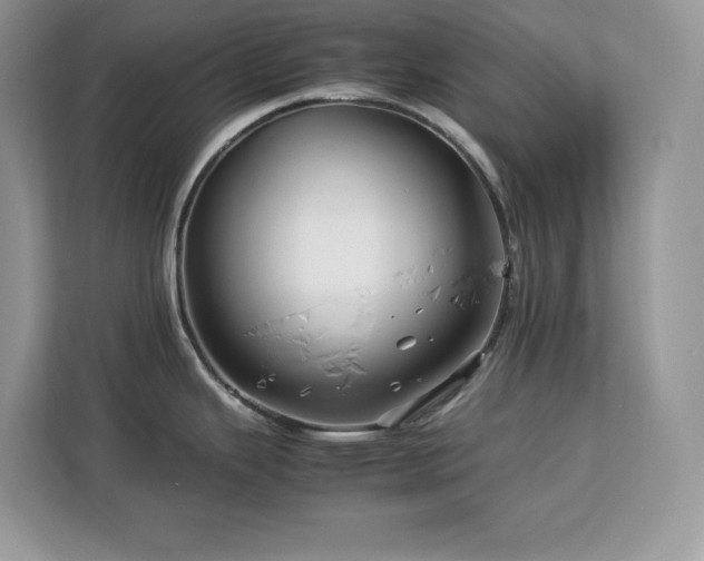 X0000113091343200908281236