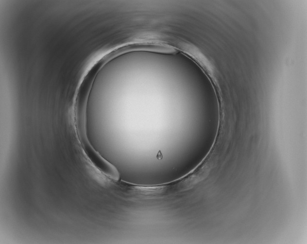 X0000113091344200908281236