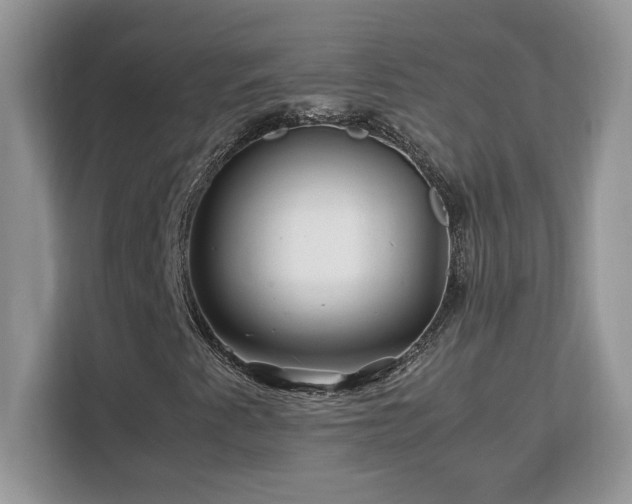X0000113091345200908281235