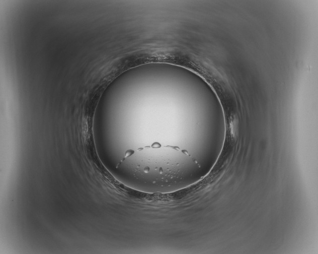 X0000113091347200908281235