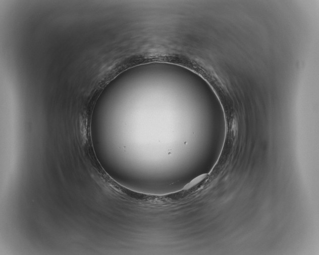 X0000113091348200908281235