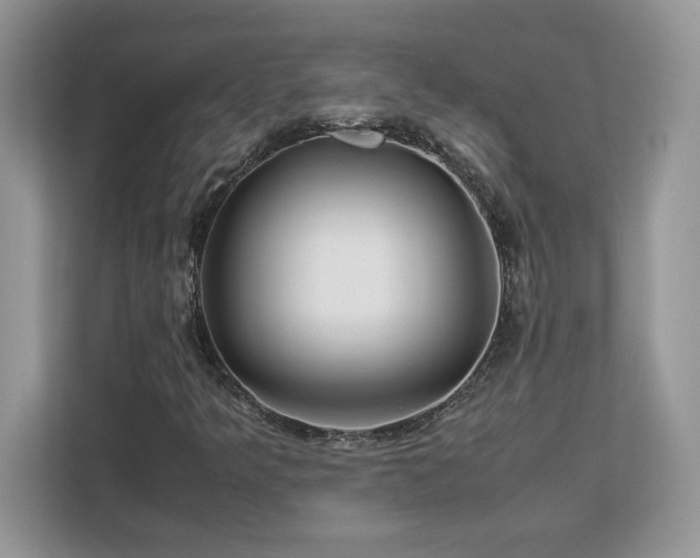 X0000113091349200908281235