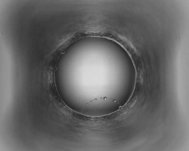X0000113091350200908281235