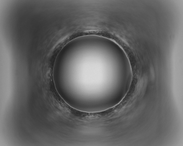 X0000113091351200908281235