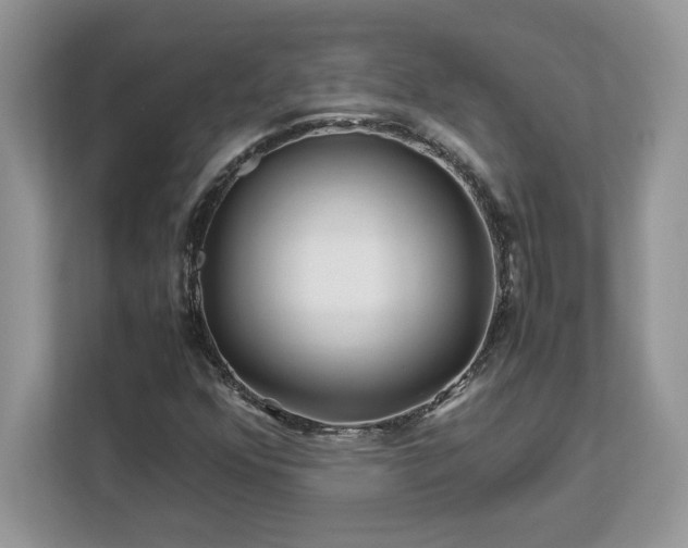 X0000113091352200908281235