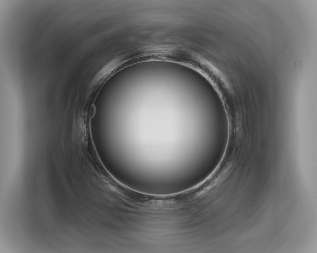 X0000113091354200908281235