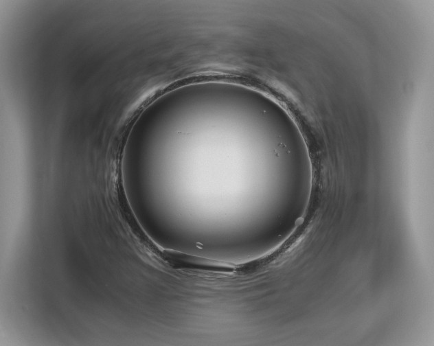 X0000113091355200908281235