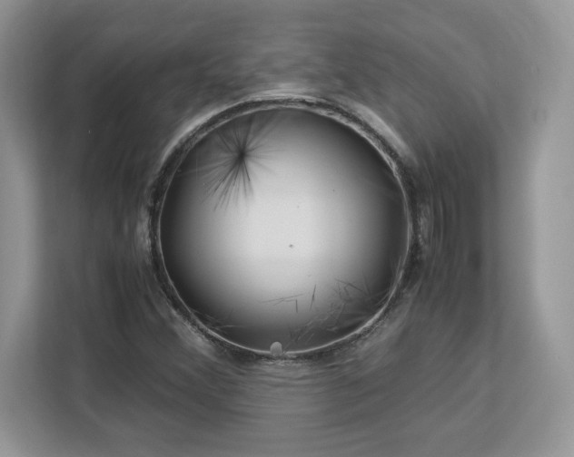 X0000113091356200908281235