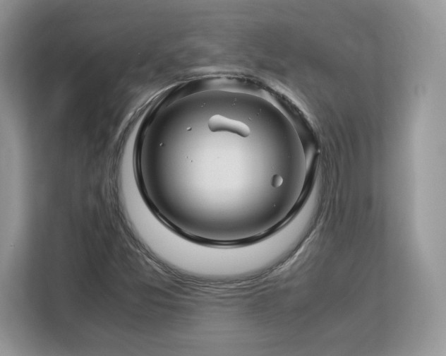 X0000113091357200908281235