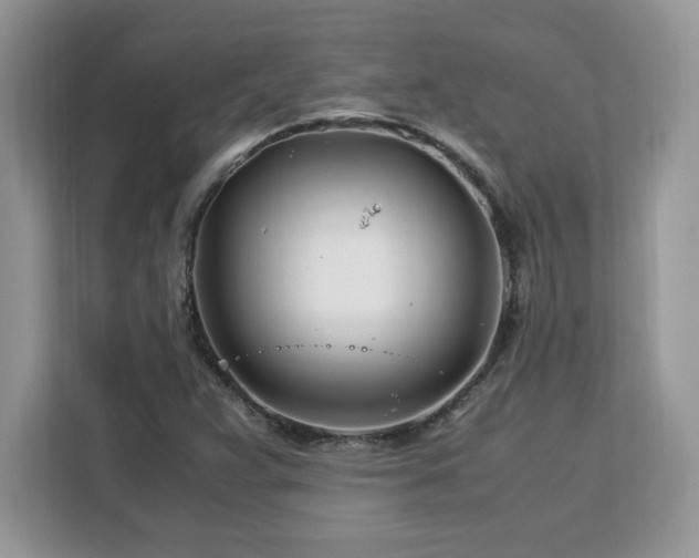 X0000113091359200908281235