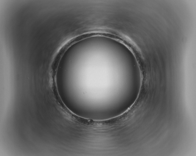 X0000113091360200908281235