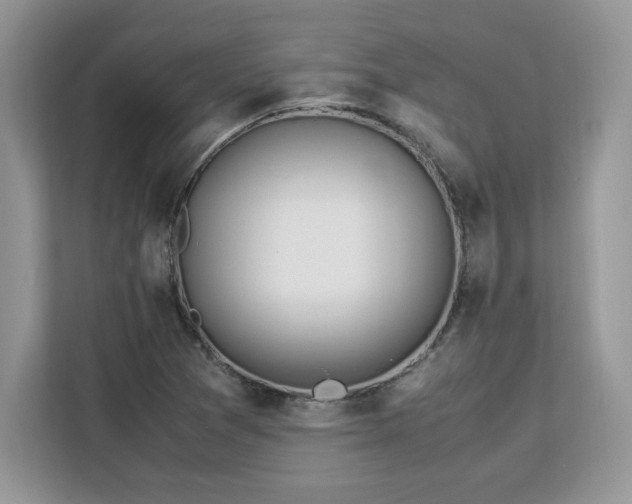X0000113091361200908281235