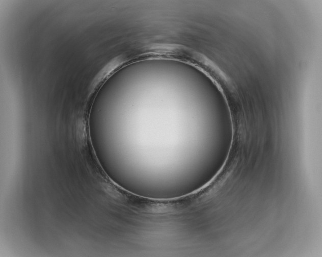 X0000113091362200908281235