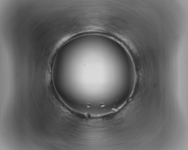 X0000113091363200908281235