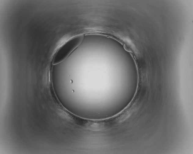 X0000113091365200908281235