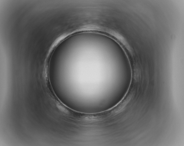 X0000113091366200908281235