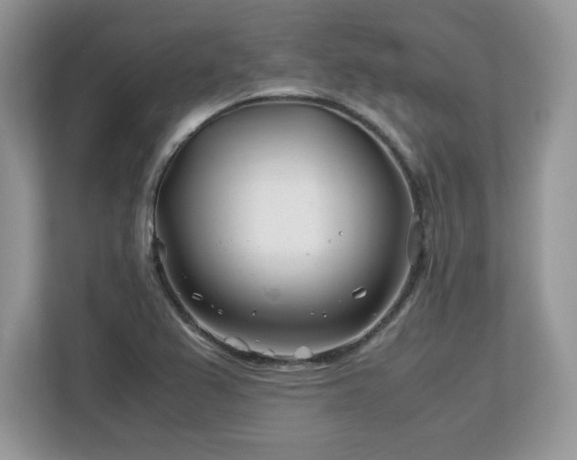 X0000113091367200908281235