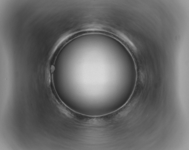 X0000113091368200908281235