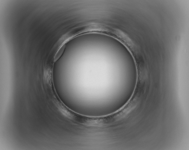 X0000113091369200908281235