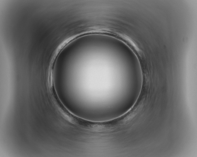 X0000113091371200908281235