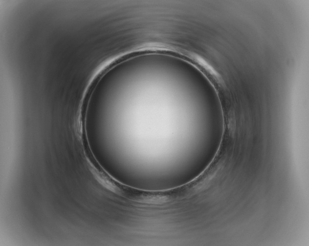 X0000113091372200908281235