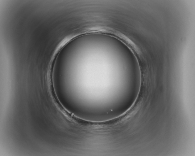 X0000113091373200908281235