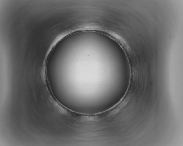 X0000113091374200908281235
