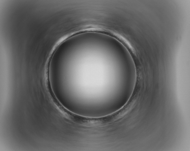 X0000113091375200908281235
