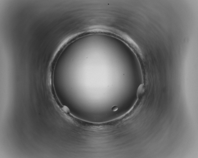 X0000113091376200908281235